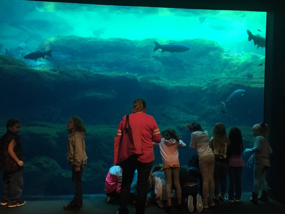 students at aquarium