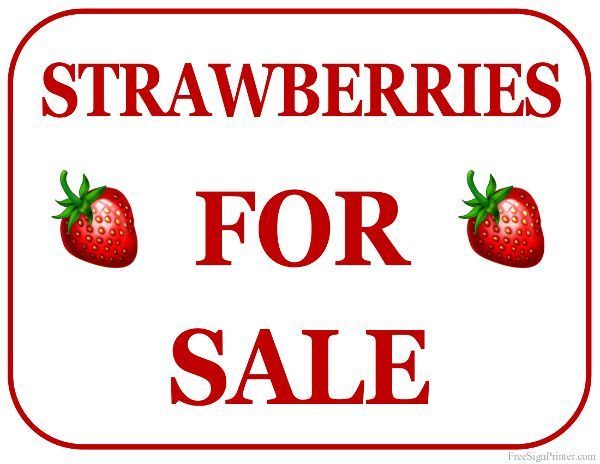 FFA Strawberry Sale