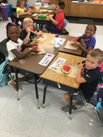First Grade Science Investigations
