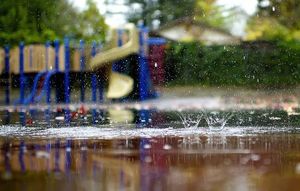 Rainy