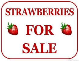 FFA Strawberry Sale
